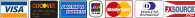 online checks, Visa, MasterCard, Discover, American Express, Dinners, JCB and debit cards with the Visa and MasterCard logo